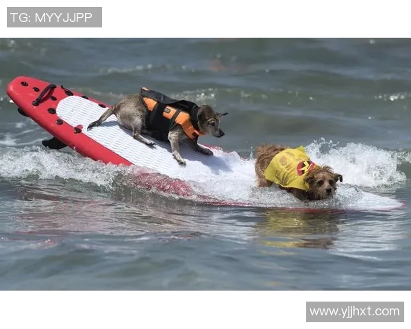 急流与火焰的巅峰对决比赛时间揭晓精彩瞬间不容错过